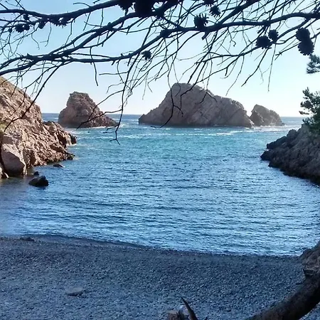 Oliveras * L' Escala